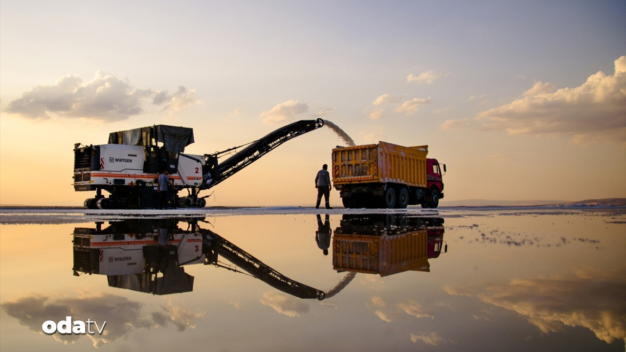 Anadolu’nun beyaz hazinesi 5 kıtaya ulaştı