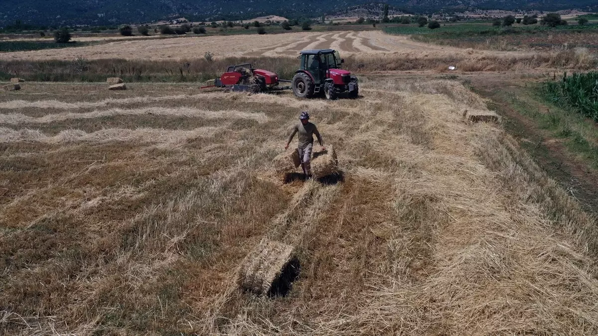 ciftciligi secen universite mezunu cift MJJncYrz