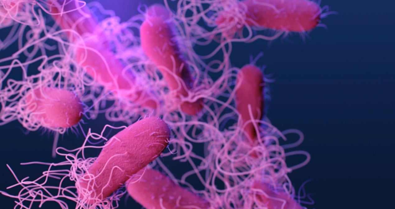 Çiğ ya da iyi pişirilmemiş hayvansal gıdalardan bulaşıyor: Alarm verildi!