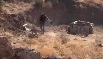 dort aylik kopege siddet uygulayan kisi gozaltina alindi RwUYaOfJ