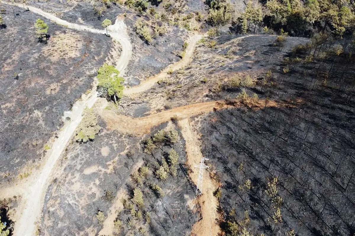 koycegiz orman yangini ikinci gunde kontrol altinda LM6k4pm9