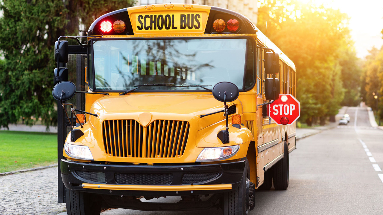 sari rengin ardindaki sir abddeki okul otobuslerinin hepsi neden sari QTP8U42P