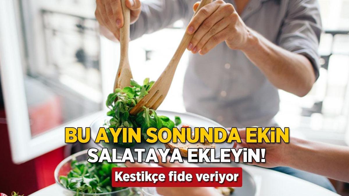 ekim ayinin sonunda eken hasadi katliyor kestikce fide veren bagisiklik dostu bitki NAFFnTZd.jpg