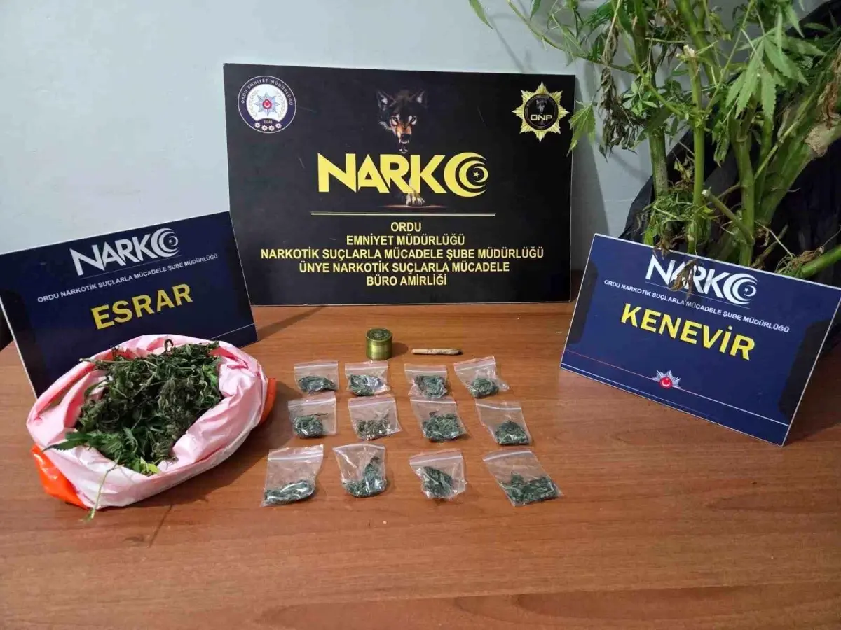 orduda uyusturucu operasyonu 2 supheli tutuklandi xjwlZIsE