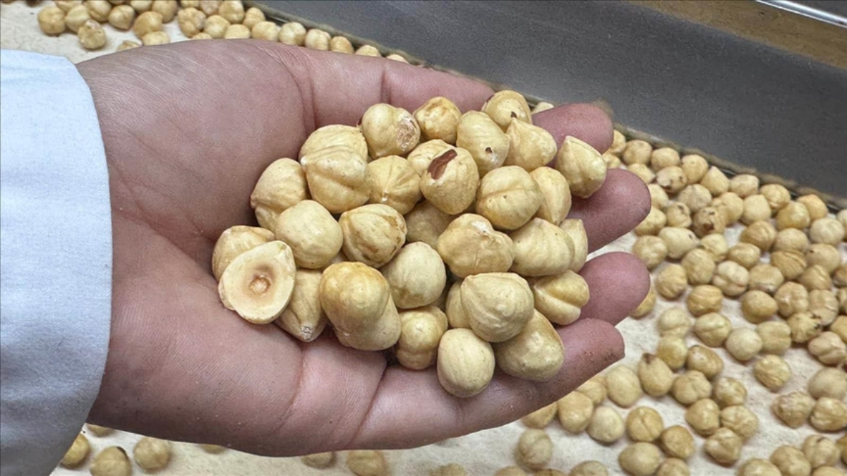 findik ihracati geliri aciklandi dnLY8JcD.jpg