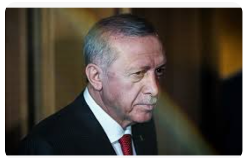 Aslı Aydıntaşbaş: Erdoğan’ın Bölgesel Liderlik Yarışı