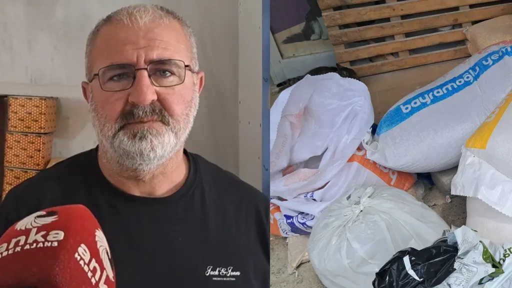 Artvin’de Hayvancılık Krizi: Çiftçiler Çalışmak Yerine Beklemeyi Tercih Ediyor