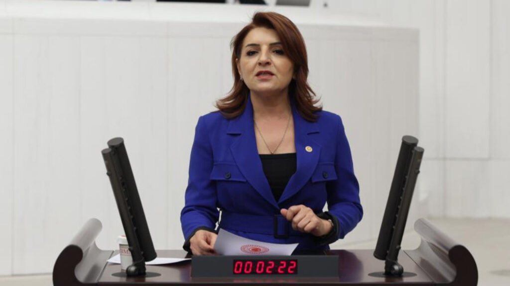 CHP’li Gülcan Kış: “Asgari ücretli, maaşını almadan borçlarını düşünüyor”
