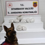 Diyarbakır’da Uyuşturucu Operasyonu: 150 Kişi Hakkında İşlem Yapıldı