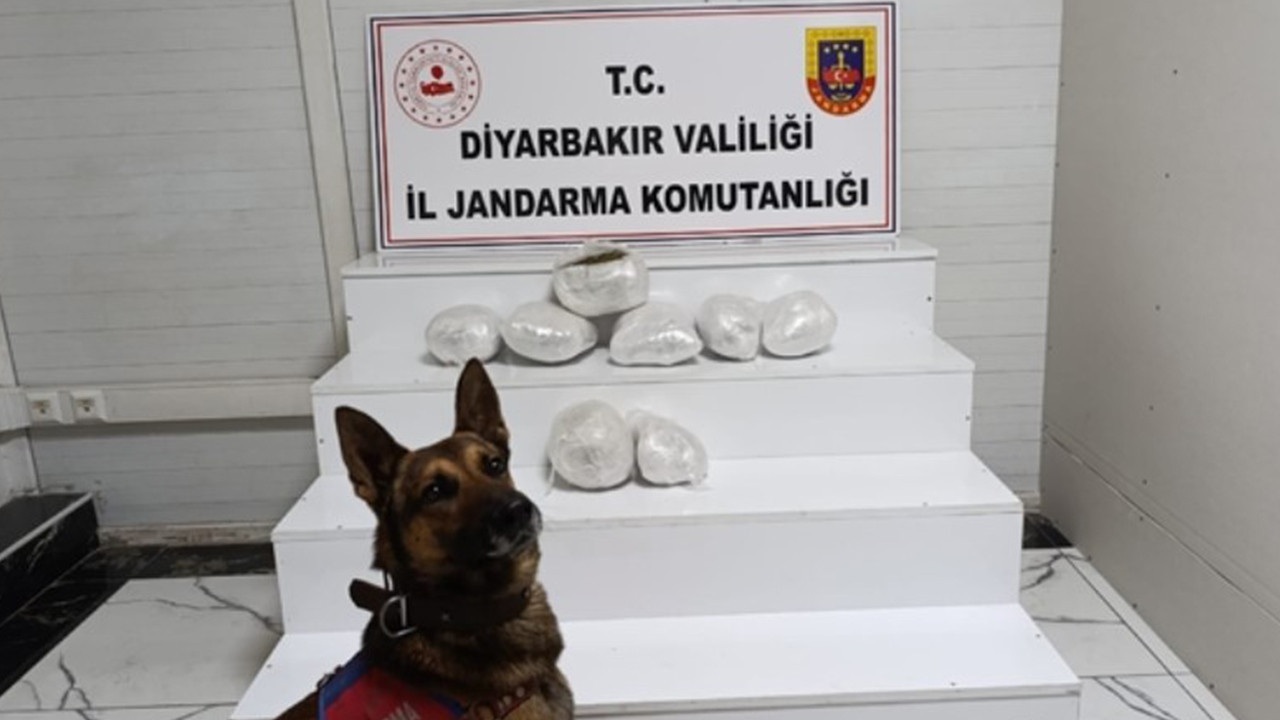 Diyarbakır’da Uyuşturucu Operasyonu: 150 Kişi Hakkında İşlem Yapıldı