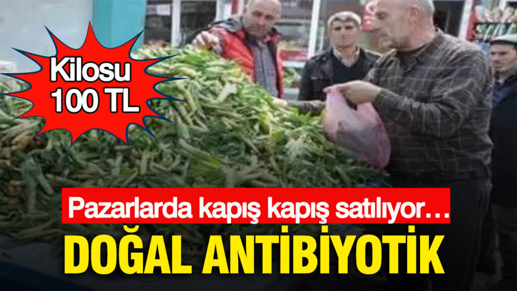 Doğal Antibiyotikler Pazar Tezgahlarında Kapış Kapış: Kilosu 100 TL