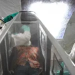 Ebola Virüsü Hakkında Bilmeniz Gerekenler: Belirtileri ve Bulaşma Yöntemleri