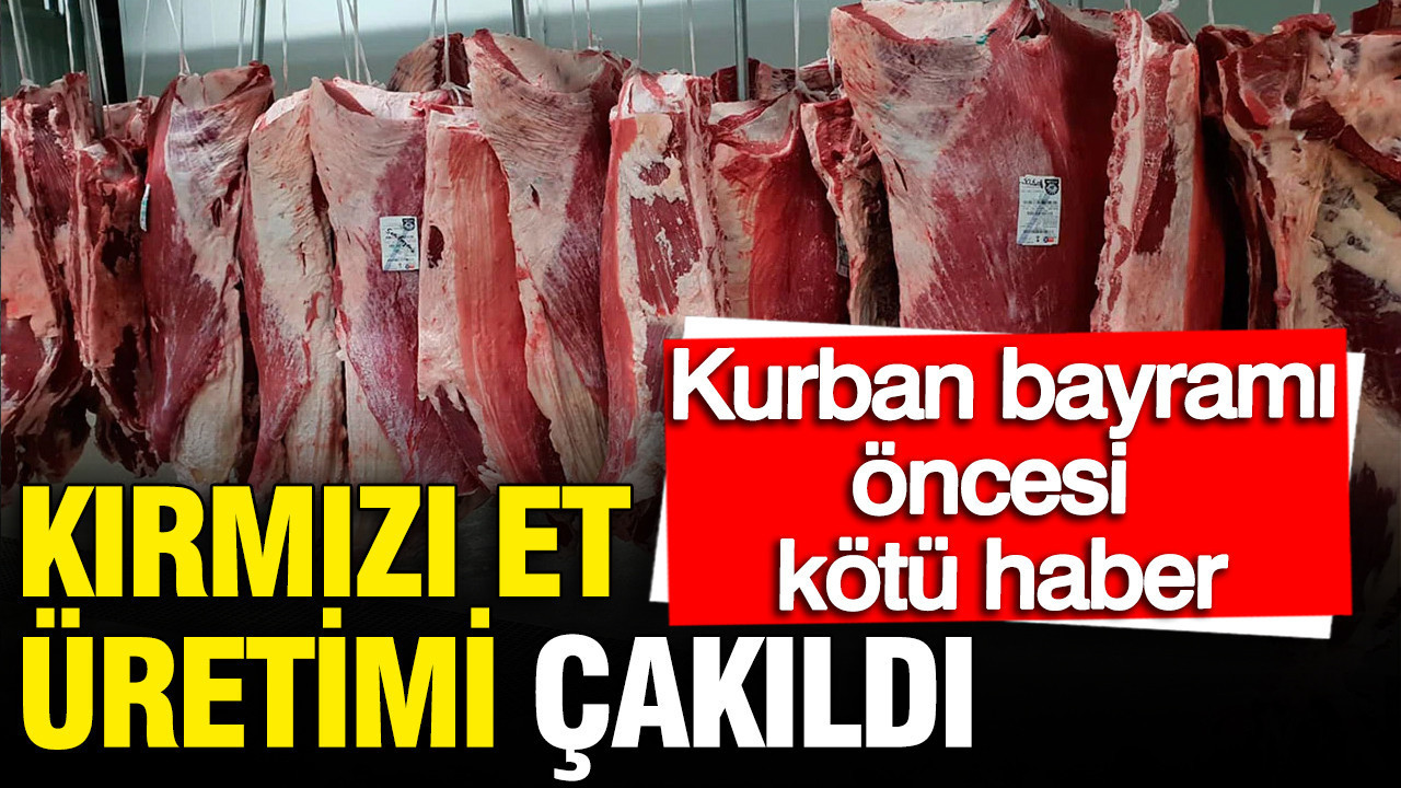 kirmizi-et-uretimi-cakildi-tuikten-kurban-bayrami-oncesi-kotu-haber-4MZGJ4ag