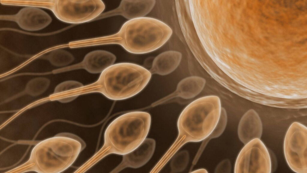 Yapay Zeka ile Kısırlık Sorununa Çözüm: Sperm Bulma Teknolojisi