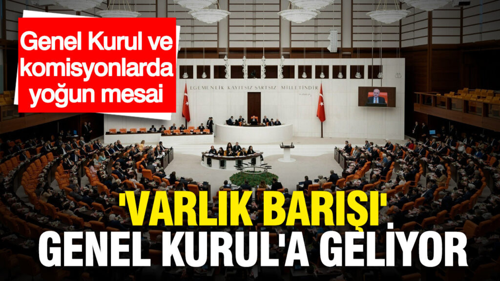 Meclis’te Yoğun Gündem: ‘Varlık Barışı’ Düzenlemesi Genel Kurul’da Tartışılacak