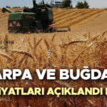 2026 TMO Buğday Fiyatları: Ne Bekleniyor, Arpa Fiyatları Açıklandı mı?