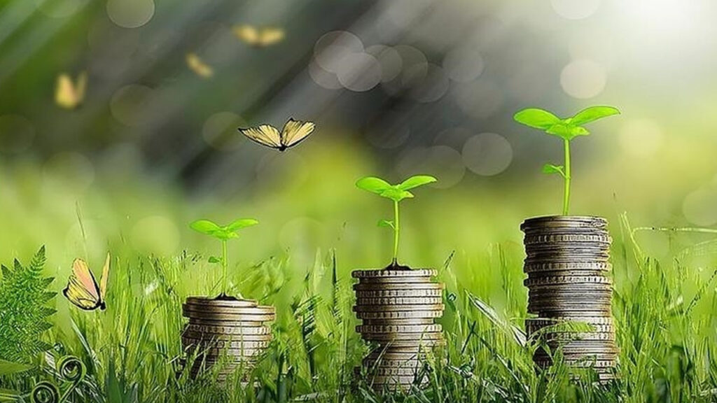 Türkiye Yeşil Fonu’ndan Sapro’ya 30 Milyon Euro Destek